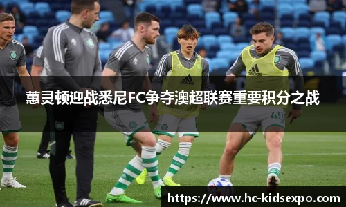 雷火电竞官网